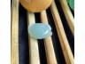 34神仙鱼