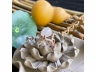 36翡翠戒指