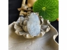 43高冰龙衔灵芝