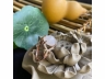36翡翠戒指