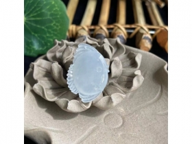 37神仙鱼