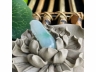 23翠福瓜