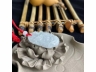 39生肖鼠牌