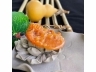 3红翡龙牌