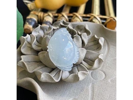 30神仙鱼