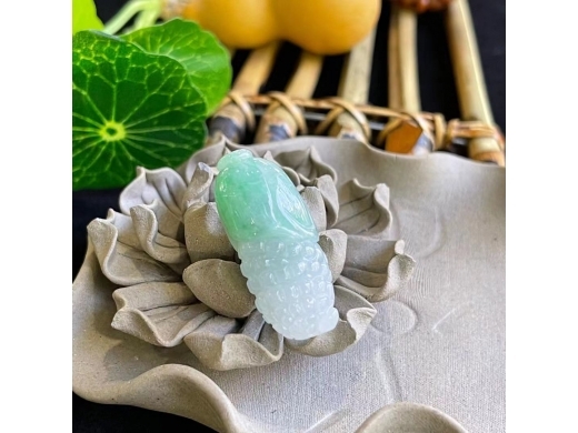 5翡翠玉米
