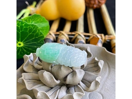 5翡翠玉米
