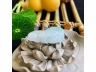 7翡翠年年有余