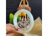 6黄加绿手镯