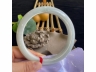 12翡翠臂镯