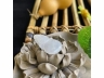 21白冰福禄