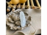 34白冰福瓜