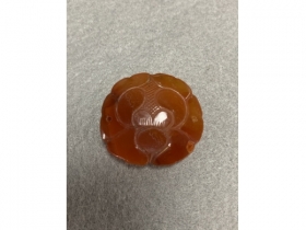 玛瑙花