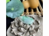 25翠福瓜