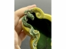 素三彩螭龙纹水盂