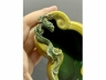 素三彩螭龙纹水盂