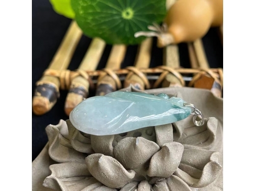 29飘花玉兰花开