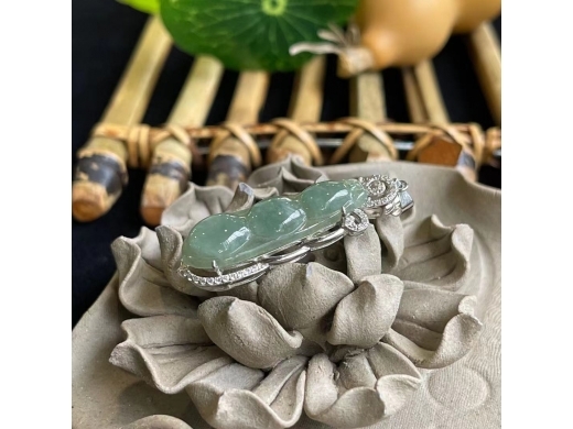 33翡翠四季豆