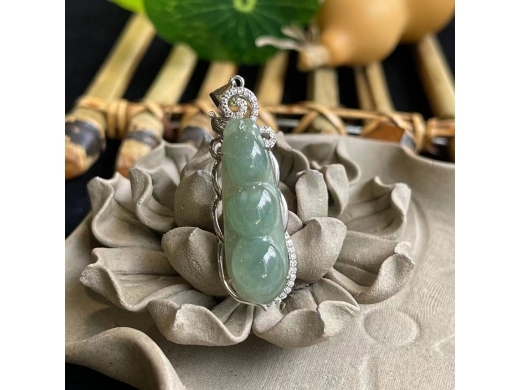 33翡翠四季豆
