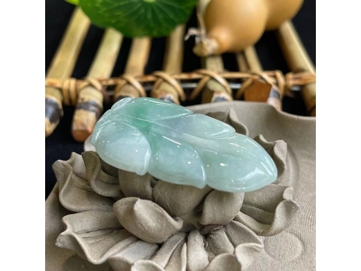 8飘花金枝玉叶