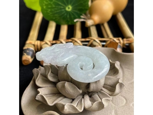 24鱼化龙