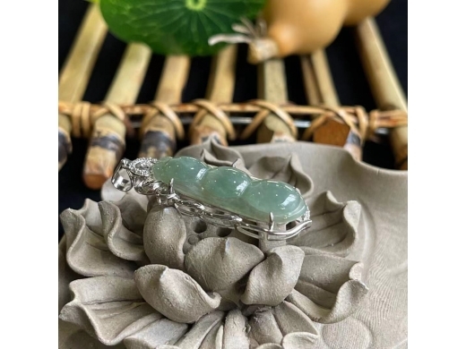 33翡翠四季豆