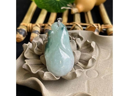 29飘花玉兰花开