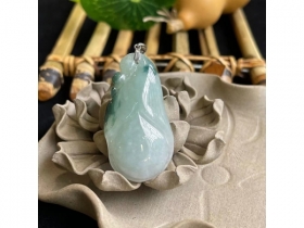 29飘花玉兰花开