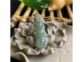 33翡翠四季豆