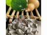 38翡翠戒指