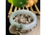 34洒金手镯
