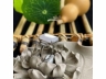 31翡翠戒指