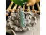 33翡翠四季豆