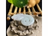24鱼化龙