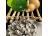 38翡翠戒指