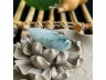 16飘花福瓜