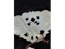 玉花片