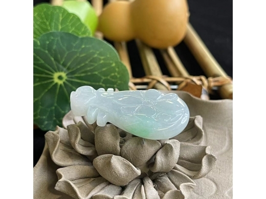 20琵琶