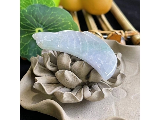 40春彩和平鸽