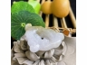 23黄翡随形悟道