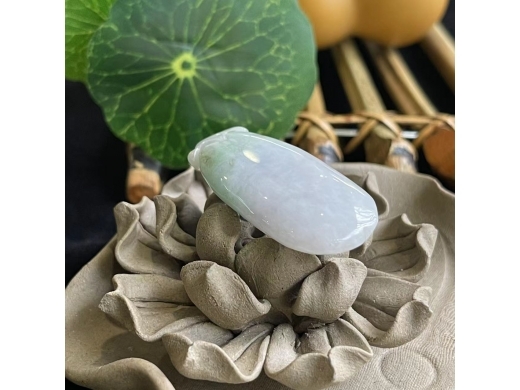 41福瓜