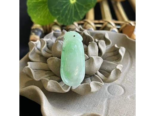12翠福瓜