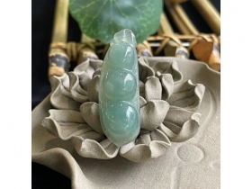40四季豆