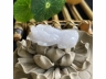 18翡翠貔貅