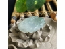 27鱼戏荷叶间