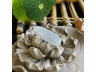 2福瓜