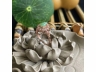 31翡翠戒指
