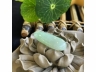 12翠福瓜