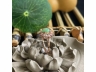 31翡翠戒指