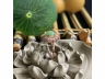 31翡翠戒指